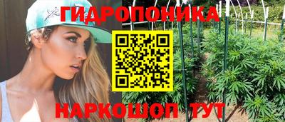 прущие грибы Краснодар