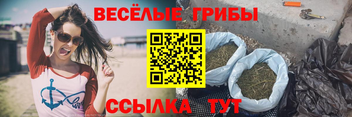 Галлюциногенные грибы MAGIC MUSHROOMS Ижевск